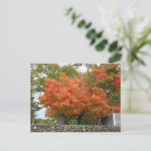 Herbstuntergang in Neuengland Postkarte (Stehend Vorderseite)