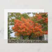 Herbstuntergang in Neuengland Postkarte (Vorne/Hinten)