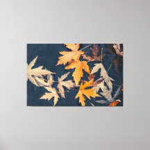 Herbstuntergänge im Wasser