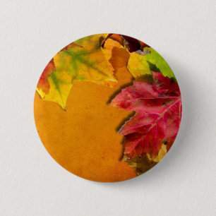 Herbstunterschiede 1 button
