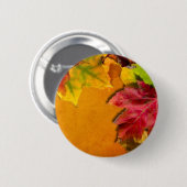 Herbstunterschiede 1 button (Vorne & Hinten)