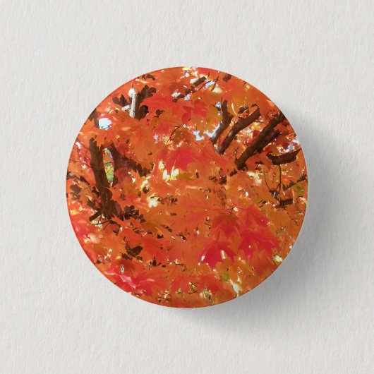 Herbstunterschiede 1 button (Vorderseite)