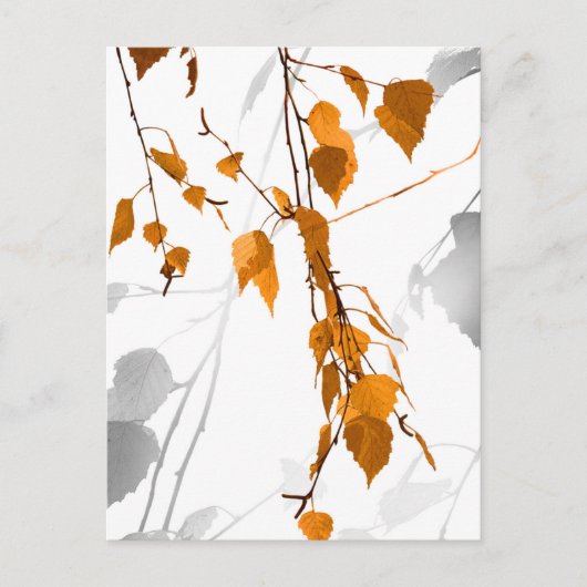 Herbstunterschiede 2 feiertagspostkarte (Vorderseite)