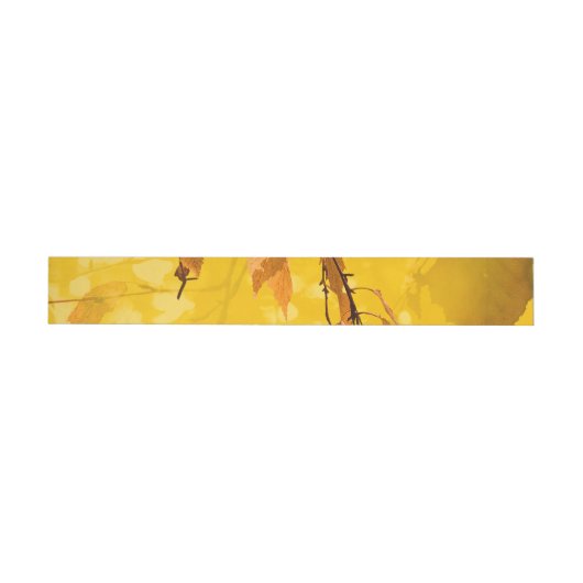 Herbstunterschiede 3 (Person)