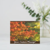 Herbstunterschiede 7 postkarte (Stehend Vorderseite)