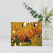 Herbstunterschiede II Postkarte (Stehend Vorderseite)
