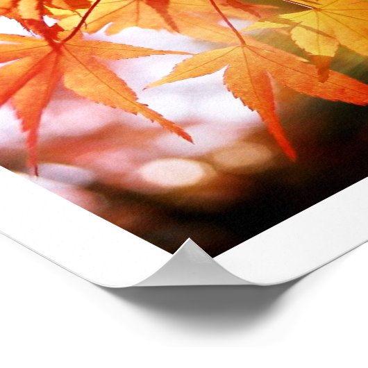 Herbstunterschiede im japanischen Holz Poster (Ecke)