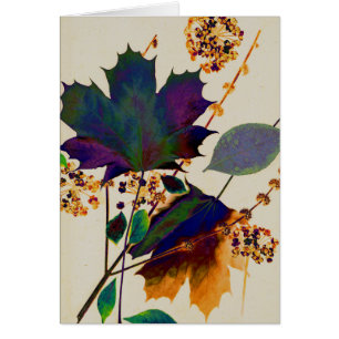 Herbstunterschiede in Royal Colors