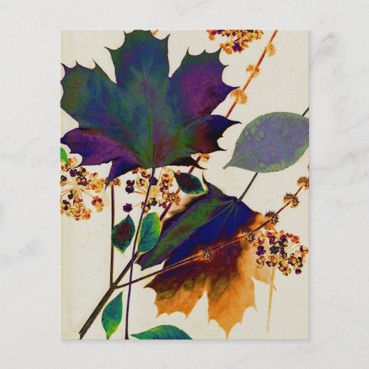 Herbstunterschiede in Royal Colors Flyer (Vorne)