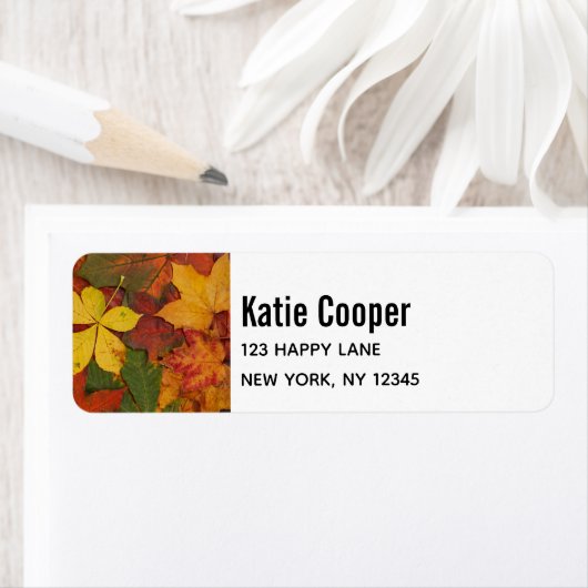 Herbstunterschiede in rustikalen Farben (Insitu)