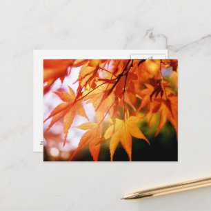 Herbstunterschiede: Japan Postkarte