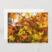 Herbstunterschiede: Tokio Postkarte (Vorne/Hinten)