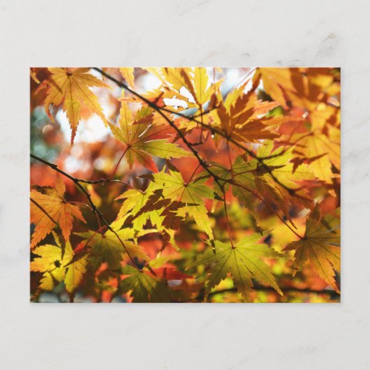 Herbstunterschiede: Tokio Postkarte (Vorderseite)