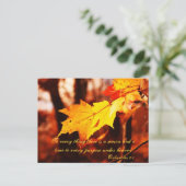 Herbstverläufe auf der Postkarte von Poconos (Stehend Vorderseite)