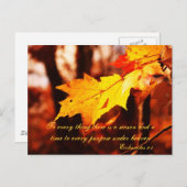 Herbstverläufe auf der Postkarte von Poconos (Vorne/Hinten)