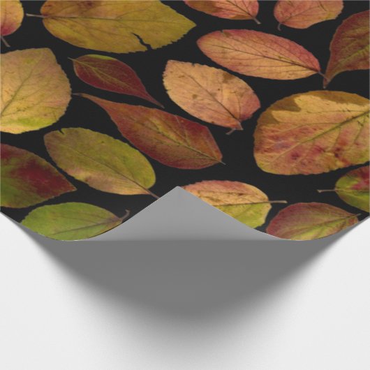 Herbstverläufe Geschenkpapier (Ecke)