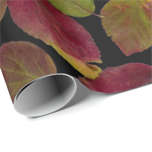 Herbstverläufe Geschenkpapier (Rolleneckpunkt)