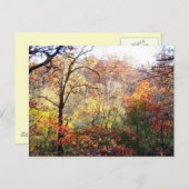Herbstverläufe in Missouri Postkarte (Vorne/Hinten)