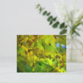 Herbstvision Postkarte (Stehend Vorderseite)