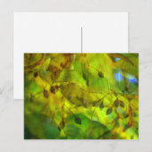 Herbstvision Postkarte (Vorne/Hinten)