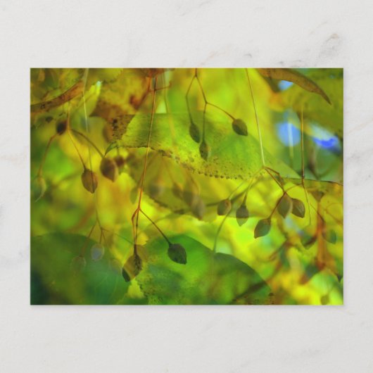 Herbstvision Postkarte (Vorderseite)