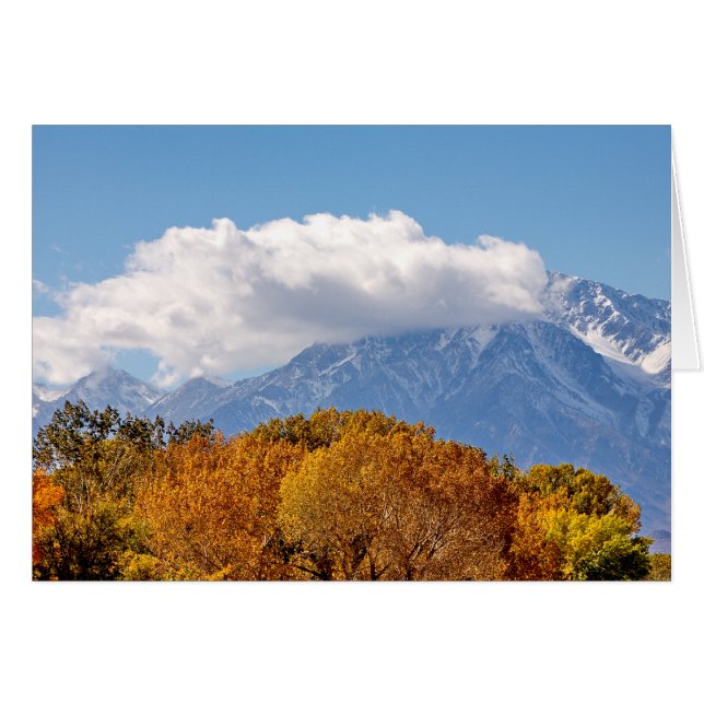 Herbstvormittag (Vorderseite (Horizontal))