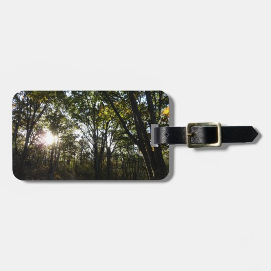 Herbstvormittag im Shenandoah-Nationalpark Gepäckanhänger (Vorderseite horizontal)