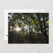 Herbstvormittag im Shenandoah-Nationalpark Postkarte (Vorne/Hinten)