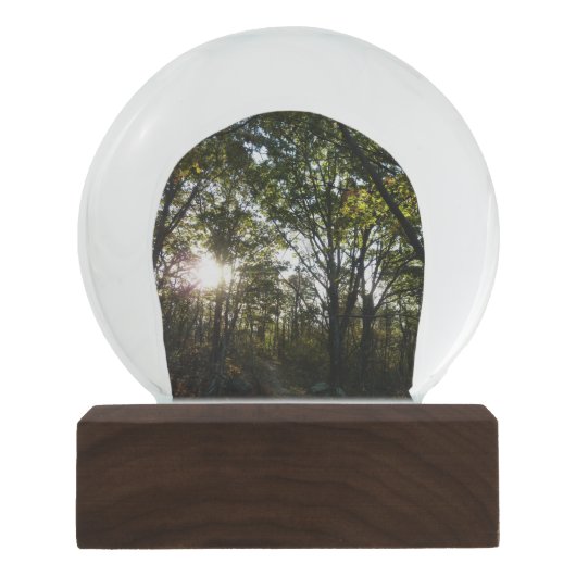 Herbstvormittag im Shenandoah-Nationalpark Schneekugel (Vorderseite)