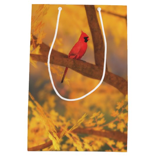 Herbstwächter-Geschenktasche Mittlere Geschenktüte (Rückseite)