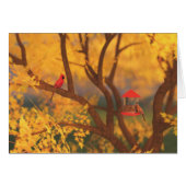 Herbstwächterkarte (Vorderseite (Horizontal))