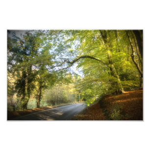 Herbstwald (4316) fotodruck