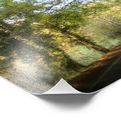 Herbstwald (4316) fotodruck (Ecke)