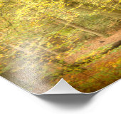 Herbstwald (4364) fotodruck (Ecke)