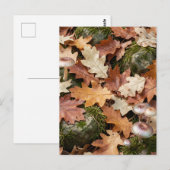 Herbstwald-Boden-Pilze Moos Gefallene Blätter Postkarte (Vorne/Hinten)