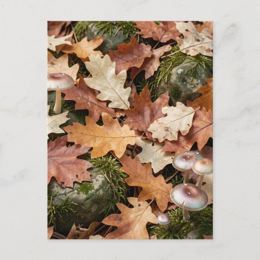 Herbstwald-Boden-Pilze Moos Gefallene Blätter Postkarte (Vorderseite)