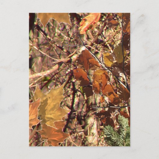 Herbstwald-Buschcamouflage Postkarte (Vorderseite)