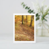 Herbstwald: Cumbria Postkarte (Stehend Vorderseite)