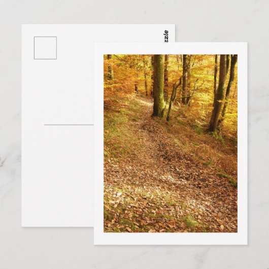 Herbstwald: Cumbria Postkarte (Vorne/Hinten)