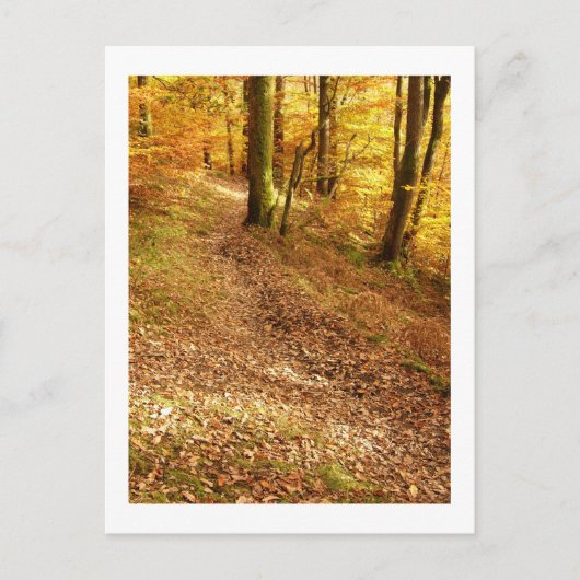 Herbstwald: Cumbria Postkarte (Vorderseite)