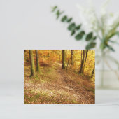 Herbstwald: Cumbria Postkarte (Stehend Vorderseite)