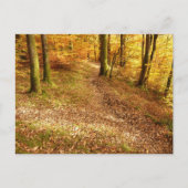 Herbstwald: Cumbria Postkarte (Vorderseite)