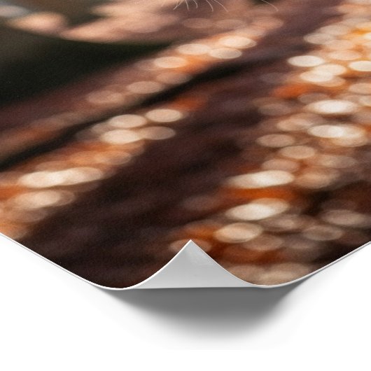 Herbstwald Dee Poster (Ecke)