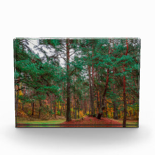Herbstwald Fotoblock
