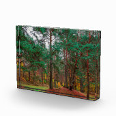 Herbstwald Fotoblock (Rechts)