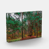 Herbstwald Fotoblock (Links)