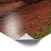Herbstwald Fotodruck (Ecke)