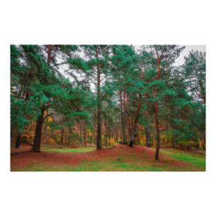 Herbstwald Fotodruck