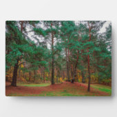 Herbstwald Fotoplatte (Vorderseite)