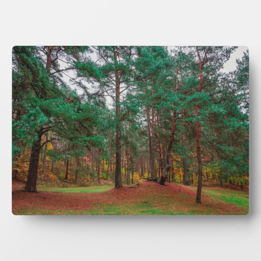 Herbstwald Fotoplatte (Vorderseite)